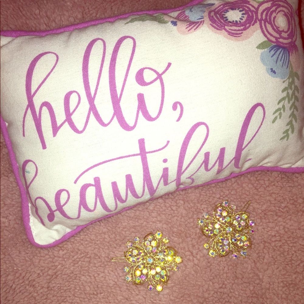🔥5/$20🔥Pair of Gorgeous Hair Clips NWT✨